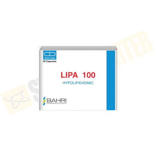 LIPA 100